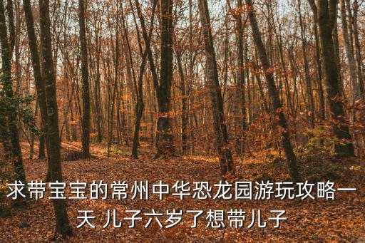 求帶寶寶的常州中華恐龍園游玩攻略一天 兒子六歲了想帶兒子