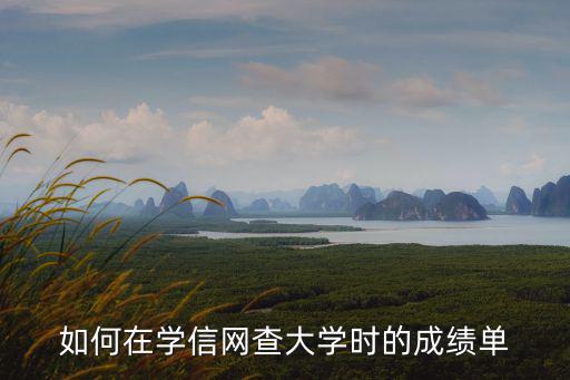 如何在學信網查大學時的成績單
