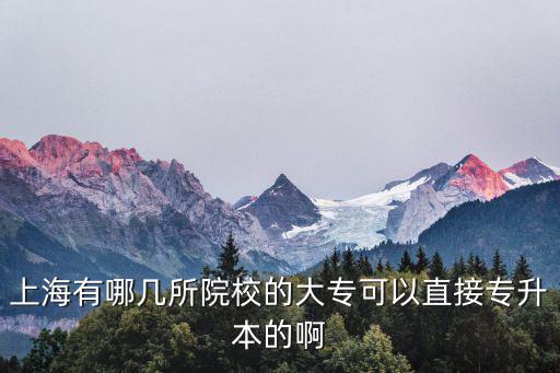 上海專升本學校，上海有哪些學?？梢詫Ｉ?/></a></span><span id=