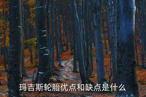 瑪吉斯輪胎優點和缺點是什么