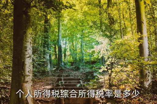 個人所得稅綜合所得稅率是多少