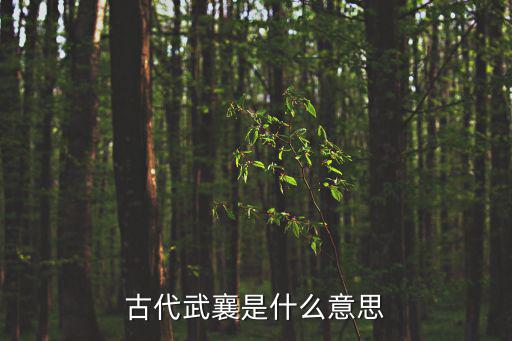 武襄，趙宋王朝的武將以武開頭謚號的除了狄青武襄曹彬武惠