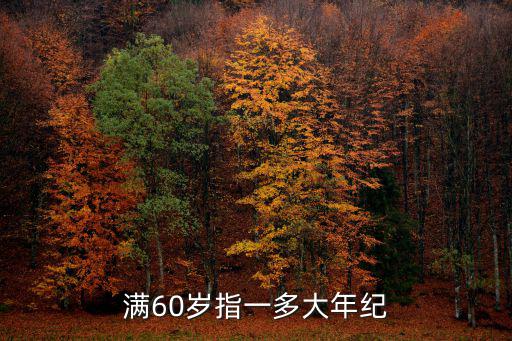 滿60歲指一多大年紀