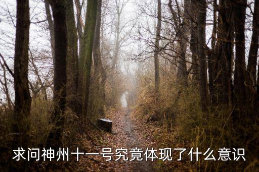 求問神州十一號究竟體現了什么意識