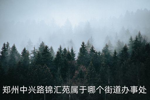 鄭州中興路錦匯苑屬于哪個(gè)街道辦事處