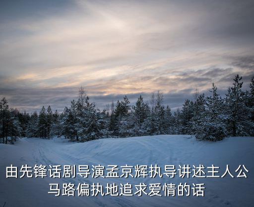 由先鋒話劇導演孟京輝執導講述主人公馬路偏執地追求愛情的話