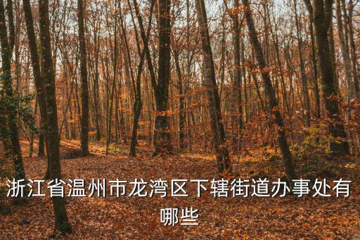 浙江省溫州市龍灣區下轄街道辦事處有哪些