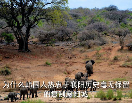 為什么韓國人熱衷于襄陽歷史毫無保留的復制襄陽城