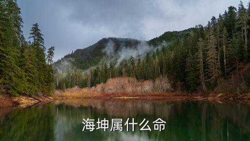 海坤屬什么命