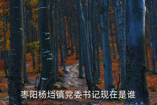 棗陽楊垱鎮黨委書記現在是誰