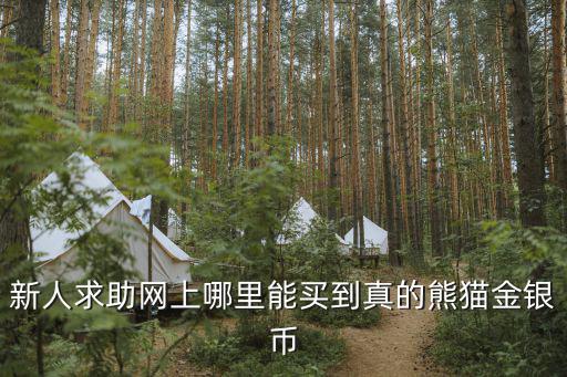 新人求助網上哪里能買到真的熊貓金銀幣