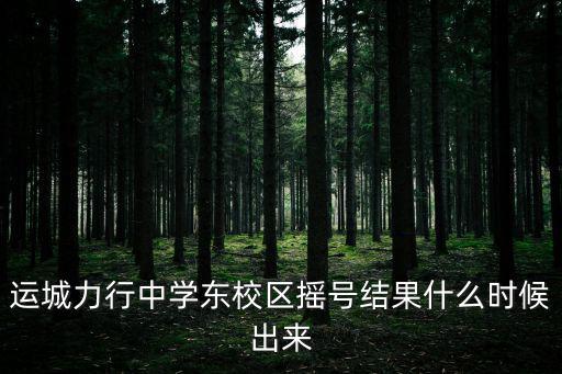 運城力行中學東校區搖號結果什么時候出來