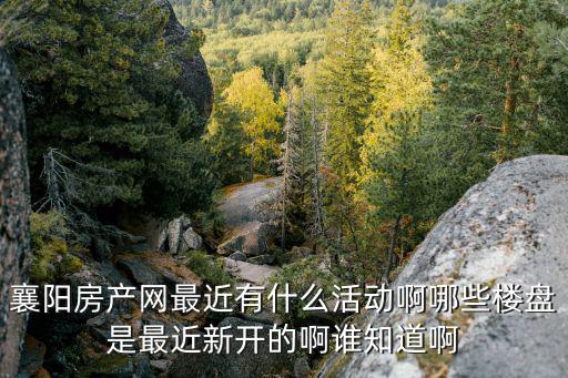 襄陽房產網最近有什么活動啊哪些樓盤是最近新開的啊誰知道啊