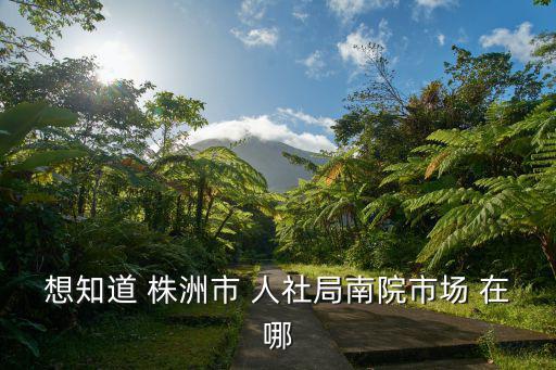 株洲人社局，想知道 株洲市 人社局南院市場 在哪