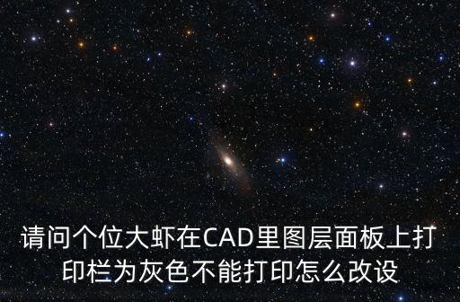 請問個位大蝦在CAD里圖層面板上打印欄為灰色不能打印怎么改設