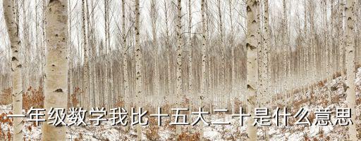 一年級數學我比十五大二十是什么意思