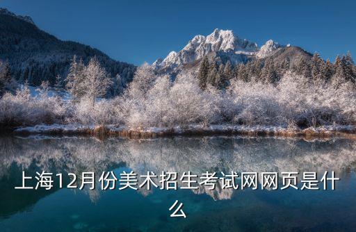 上海12月份美術招生考試網網頁是什么