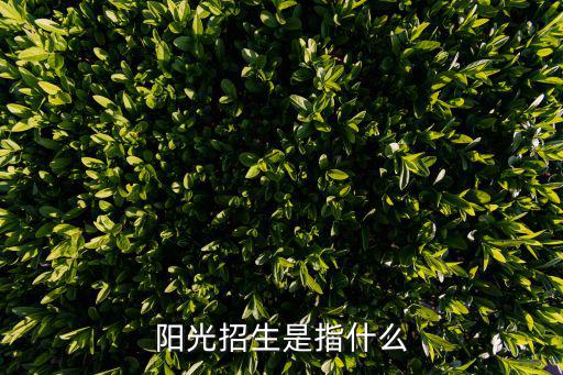陽光招生網，陽光招生是指什么