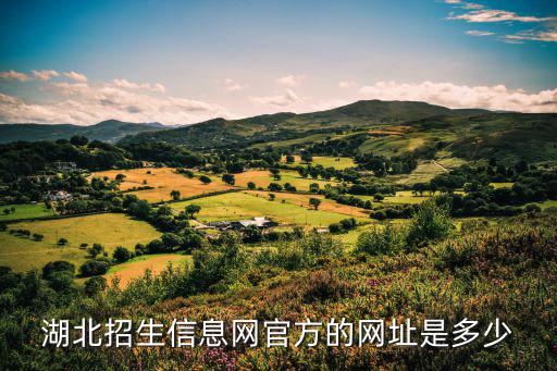 湖北招生信息網官方的網址是多少