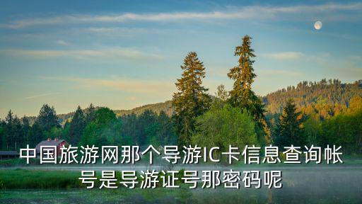 中國旅游網(wǎng)那個導(dǎo)游IC卡信息查詢帳號是導(dǎo)游證號那密碼呢
