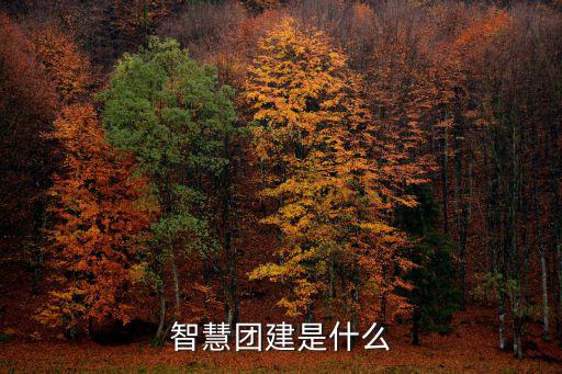 智慧團結，力量從團結來智慧從勞動來什么意思