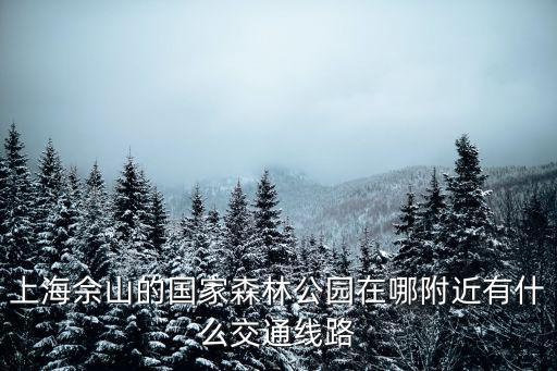 上海佘山的國家森林公園在哪附近有什么交通線路