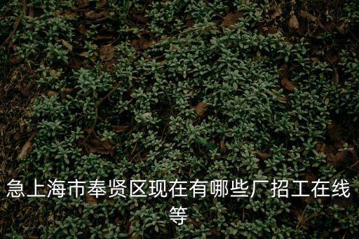 奉賢招聘，急上海市奉賢區現在有哪些廠招工在線等