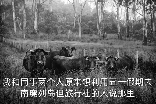我和同事兩個人原來想利用五一假期去南麂列島但旅行社的人說那里