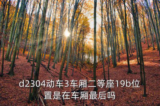 d2304，d2304動(dòng)車(chē)3車(chē)廂二等座19b位置是在車(chē)廂最后嗎