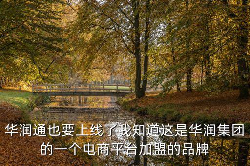 華潤通也要上線了我知道這是華潤集團的一個電商平臺加盟的品牌