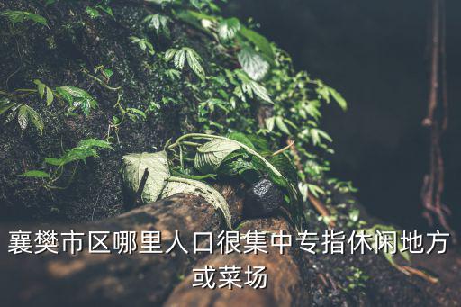 襄樊市區(qū)哪里人口很集中專指休閑地方或菜場