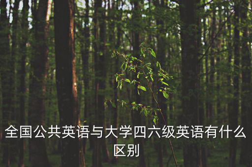 全國(guó)公共英語(yǔ)與大學(xué)四六級(jí)英語(yǔ)有什么區(qū)別