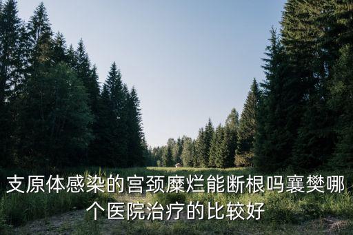 支原體感染的宮頸糜爛能斷根嗎襄樊哪個醫(yī)院治療的比較好
