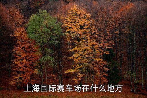 上海國(guó)際賽車(chē)場(chǎng)在什么地方