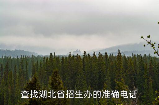 查找湖北省招生辦的準確電話