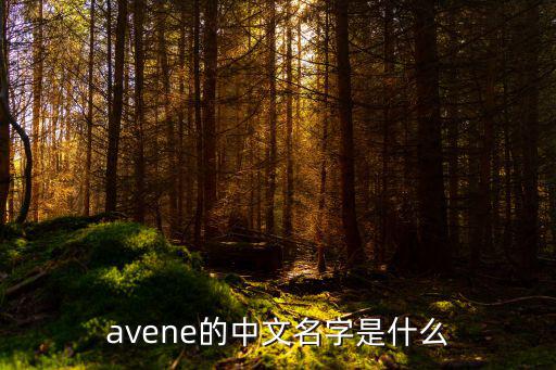 avene的中文名字是什么