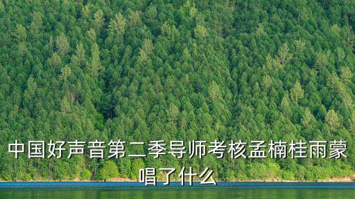 中國好聲音第二季導師考核孟楠桂雨蒙唱了什么