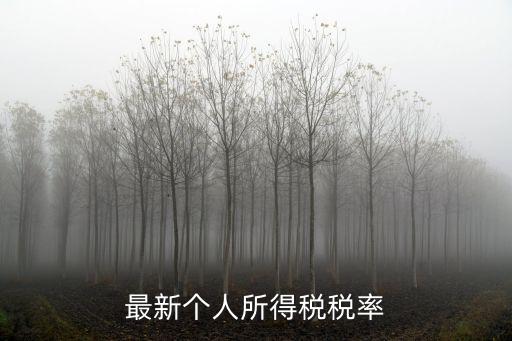 最新個人所得稅稅率