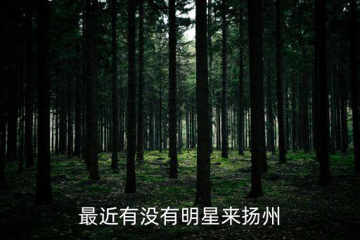 最近有沒有明星來揚州
