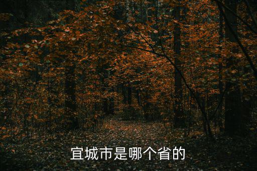 宜城市是哪個省的
