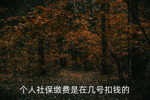 社保每月幾號扣款，武漢社保每個月幾號扣費
