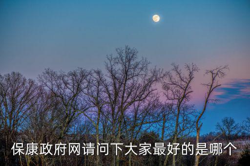 保康政府網請問下大家最好的是哪個