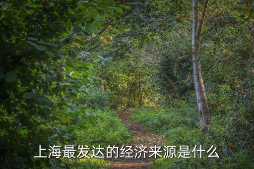 上海最發達的經濟來源是什么