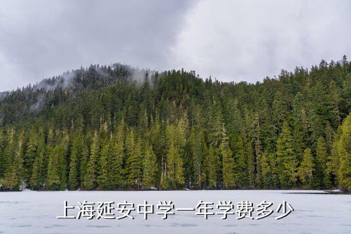 上海市延安中學，上海延安中學一年學費多少
