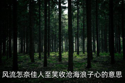 風(fēng)流怎奈佳人至笑收滄海浪子心的意思