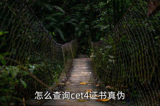 怎么查詢cet4證書真偽