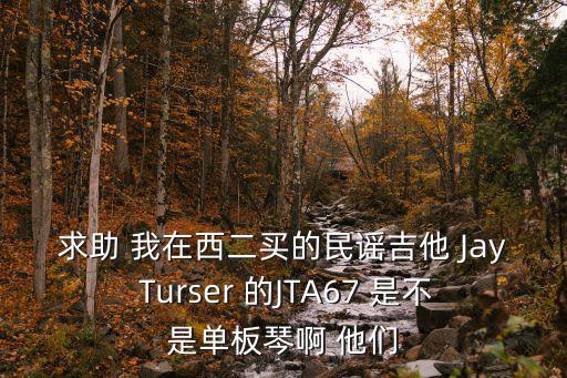 求助 我在西二買的民謠吉他 Jay Turser 的JTA67 是不是單板琴啊 他們