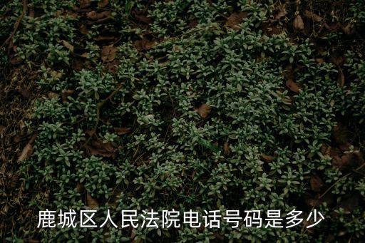 鹿城區人民法院，溫州市鹿城區人民法院院長是誰