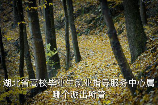 湖北省高校畢業(yè)生就業(yè)指導(dǎo)服務(wù)中心屬哪個(gè)派出所管