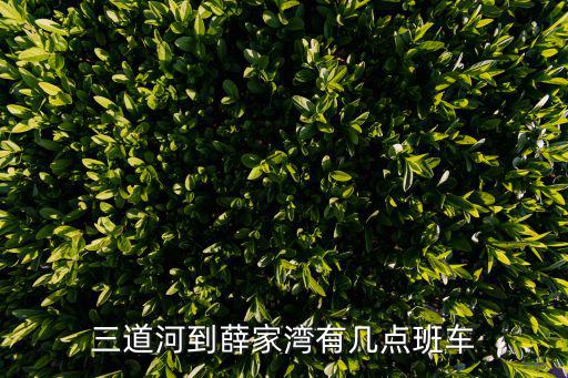三道河到薛家灣有幾點(diǎn)班車